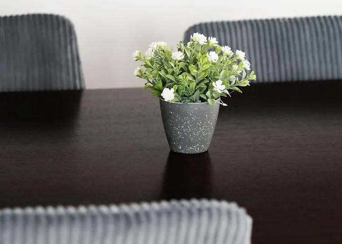 Cocon Paisible Et Lumineux Proche De Apartment Paris